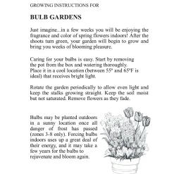 Plow & Hearth Bulb Gardens & Florals><noscript><img width=