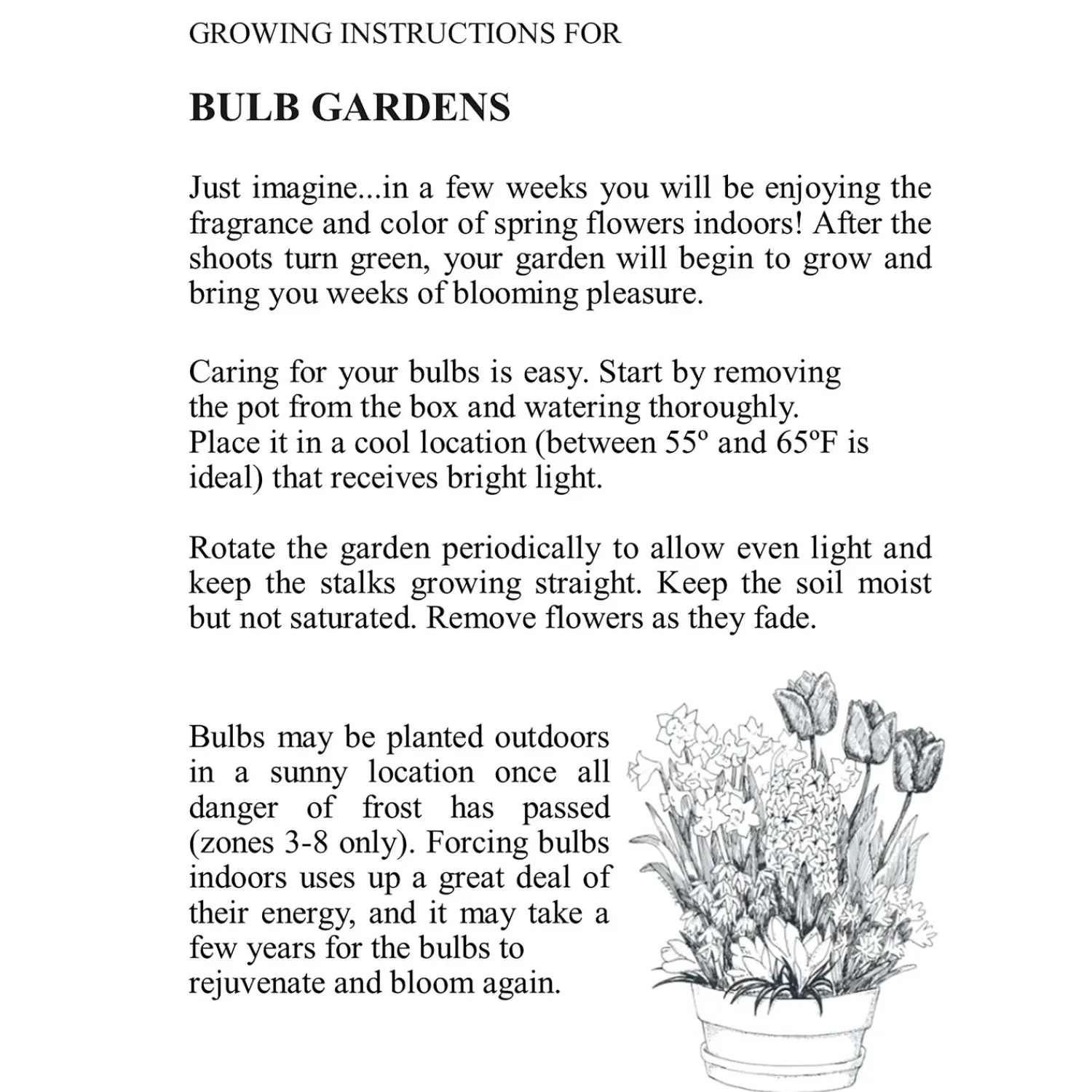 Plow & Hearth Bulb Gardens & Florals>All White Flower Bulb Gift Garden
