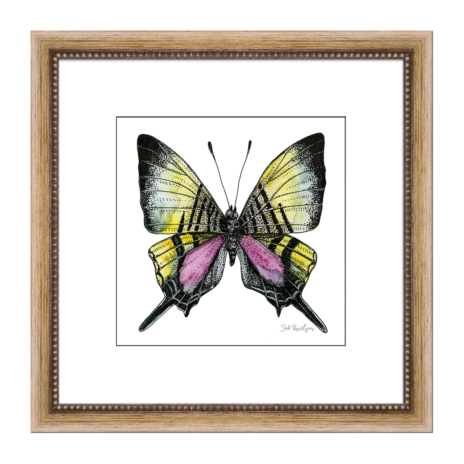 Plow & Hearth Wall Art>Androcles Swallowtail Framed Wall Art Painting