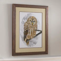 Plow & Hearth Wall Art>Barred Owl I Framed Wall Art Painting