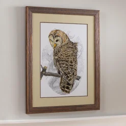 Plow & Hearth Wall Art>Barred Owl II Framed Wall Art Painting
