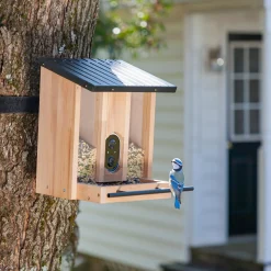 Plow & Hearth Bird Feeders>BirdsIVue Smart Feeder: Solar Wooden Bird Feeder