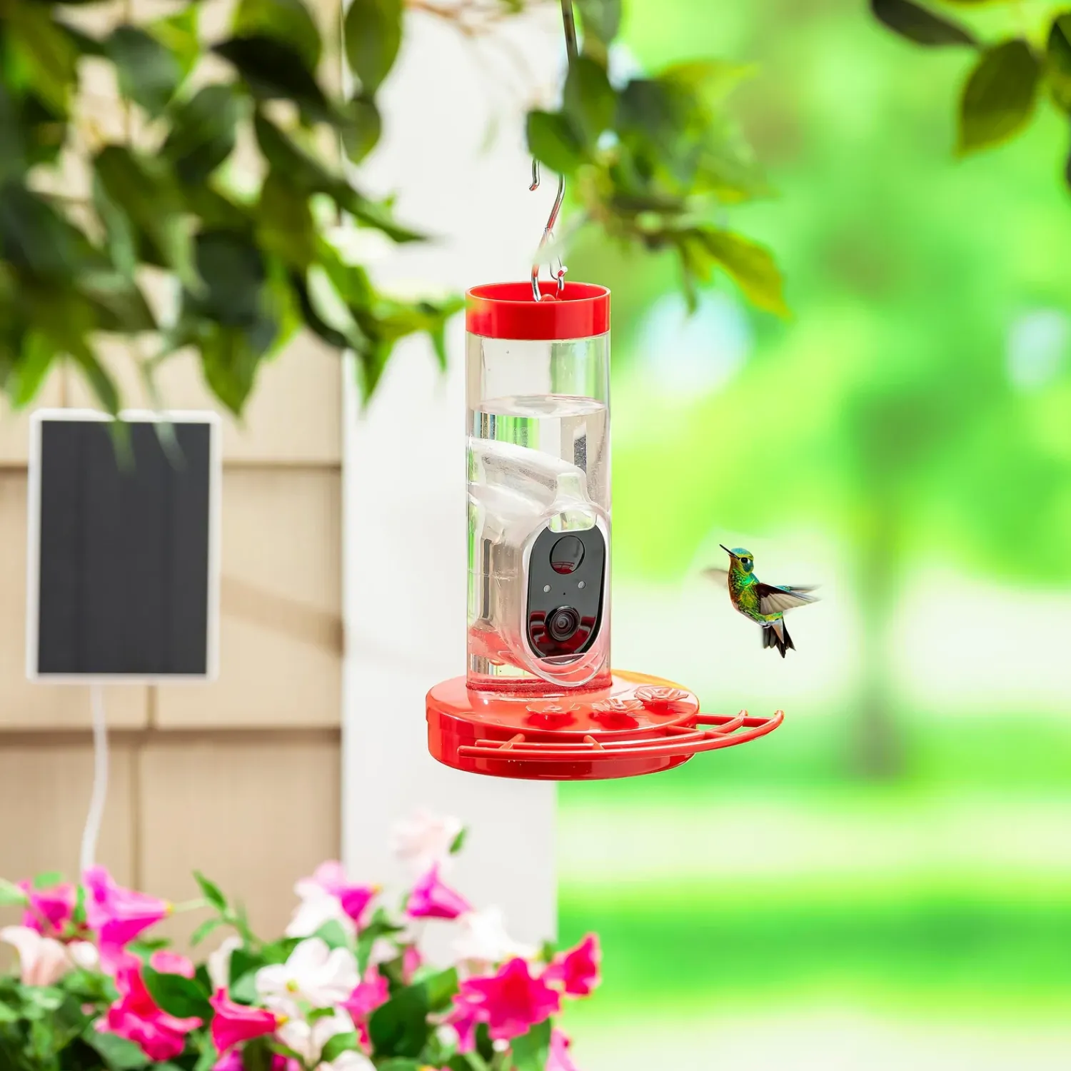 Plow & Hearth Hummingbird Feeders>BirdsIVue Smart Feeder: Solar Hummingbird Feeder