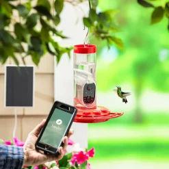 Plow & Hearth Hummingbird Feeders>BirdsIVue Smart Feeder: Solar Hummingbird Feeder