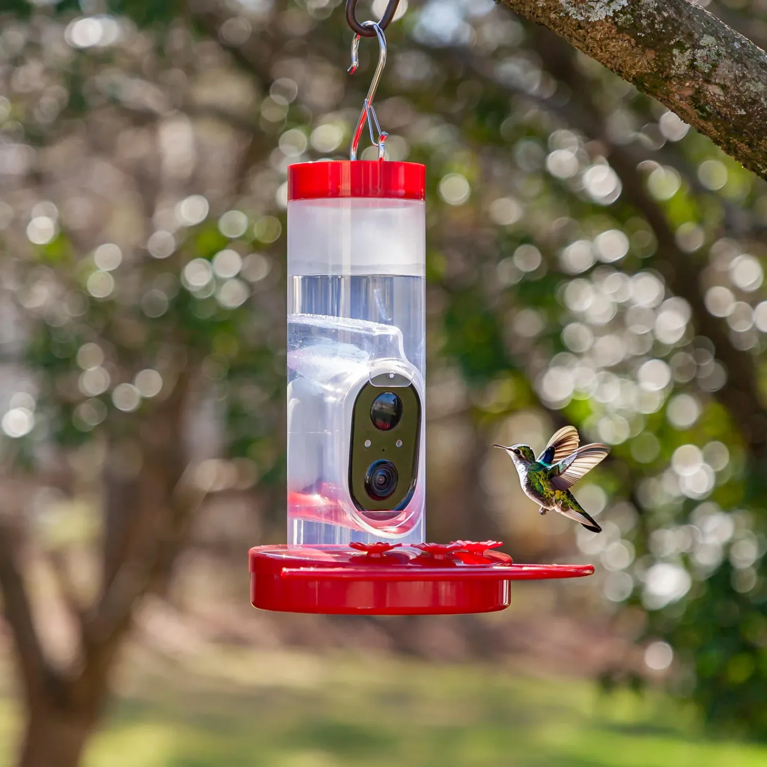 Plow & Hearth Hummingbird Feeders>BirdsIVue Smart Feeder: Solar Hummingbird Feeder