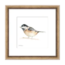 Plow & Hearth Wall Art>Black-Capped Chickadee Framed Wall Art Painting