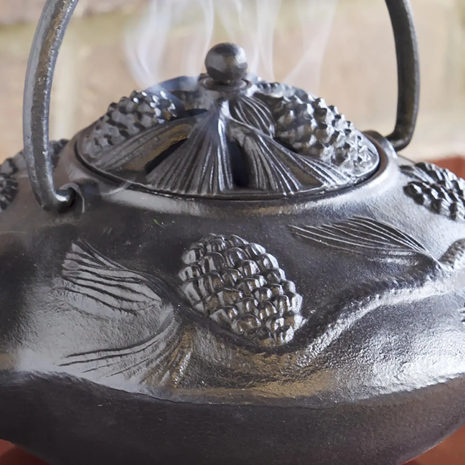 Plow & Hearth Woodstove Steamers>Cast Iron Wood Stove Kettle Steamer with Pine Cone Design Black