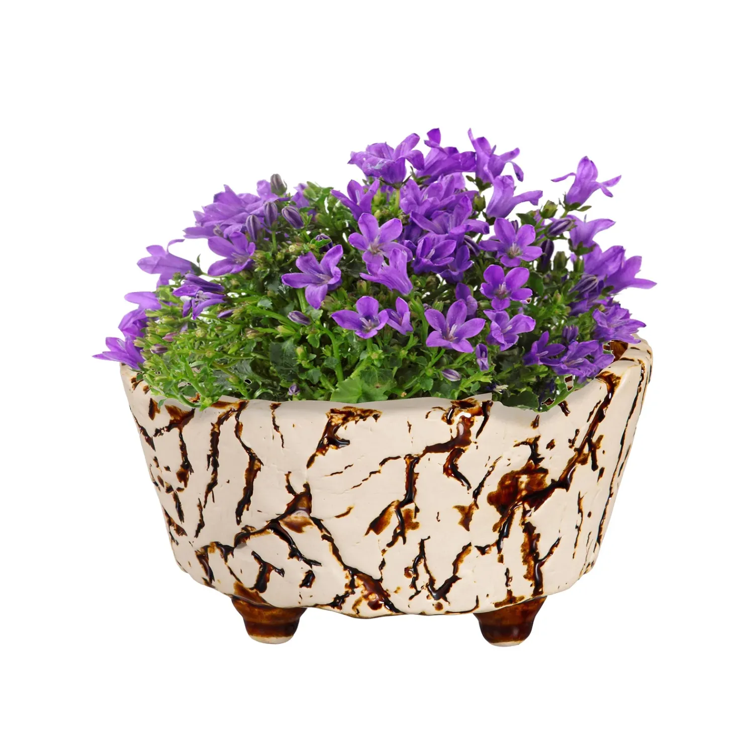 Plow & Hearth Planters & Plant Stands>Ceramic Crackled Planter