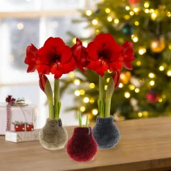 Plow & Hearth Bulb Gardens & Florals><noscript><img width=