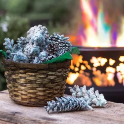 Plow & Hearth Fire Starters & Fatwood>Color-Changing Fireplace Color Cones, 1 lb. in Gift Basket