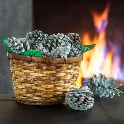 Plow & Hearth Fire Starters & Fatwood>Color-Changing Fireplace Color Cones, 1 lb. in Gift Basket