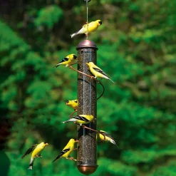Plow & Hearth Bird Feeders>-Colored Spiral-Perch Finch Bird Feeder Copper