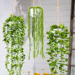 Plow & Hearth Planters & Plant Stands|Faux Flowers & Plants><noscript><img width=