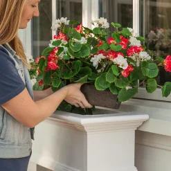 Plow & Hearth Faux Flowers & Plants>Everlasting Faux Red and White Geranium Window Box Filler