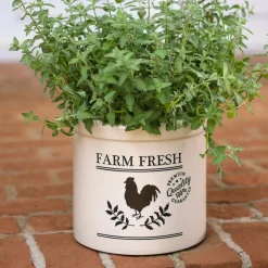 Plow & Hearth Planters & Plant Stands>Farm Fresh Rooster Stoneware Crock