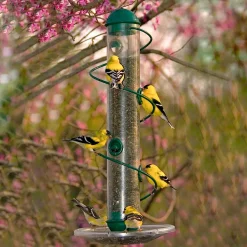 Plow & Hearth Bird Feeders>Spiral-Perch Finch Bird Feeder Green