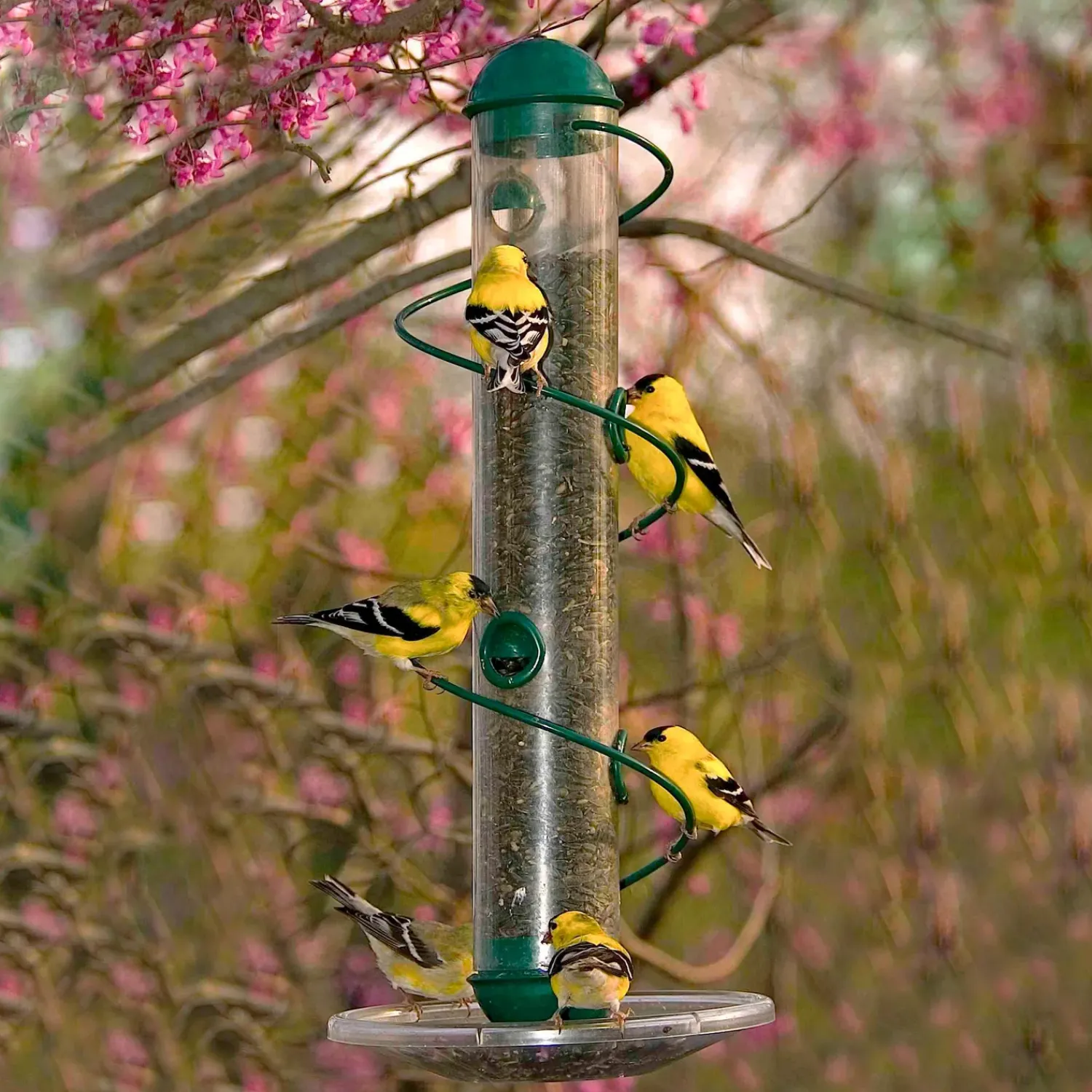 Plow & Hearth Bird Feeders>Spiral-Perch Finch Bird Feeder Green