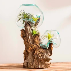 Plow & Hearth Planters & Vases>Hand Crafted Double Glass Planter on Driftwood