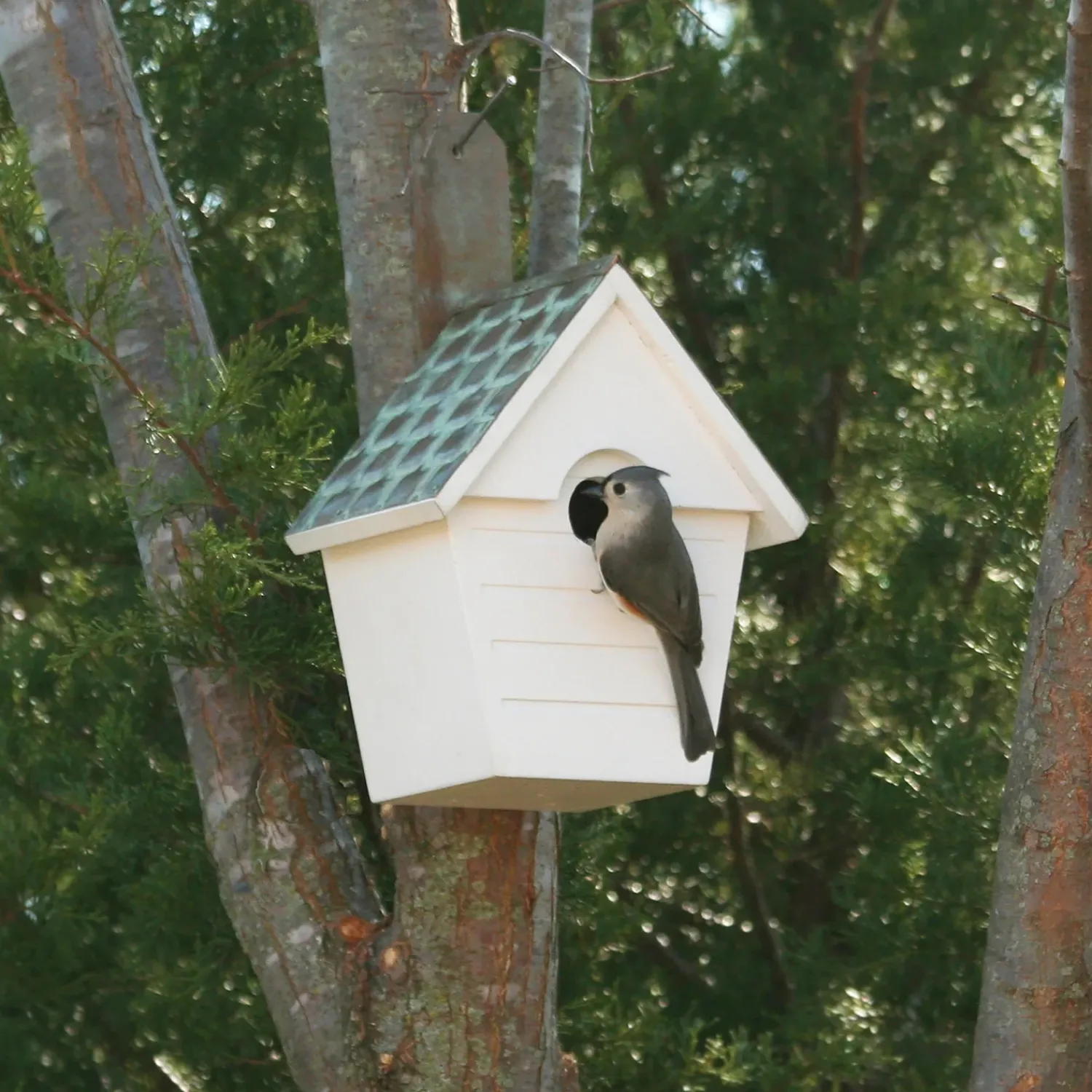 Plow & Hearth Birdhouses>Hardwood Hanging Cottage-Style Birdhouse with Verdigris Copper Roof
