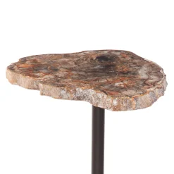 Plow & Hearth Accent Tables>Henrietta Petrified Wood Accent Table