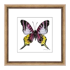 Plow & Hearth Wall Art>Imperial Emperor Framed Wall Art Painting