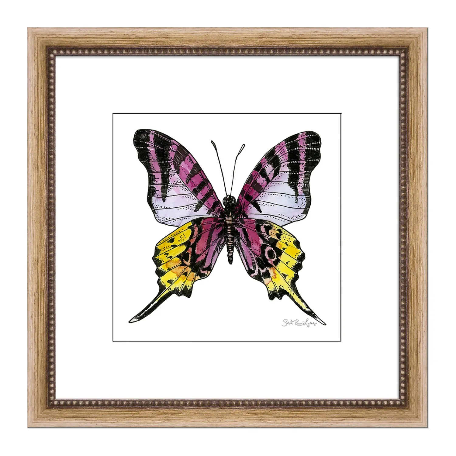 Plow & Hearth Wall Art>Imperial Emperor Framed Wall Art Painting