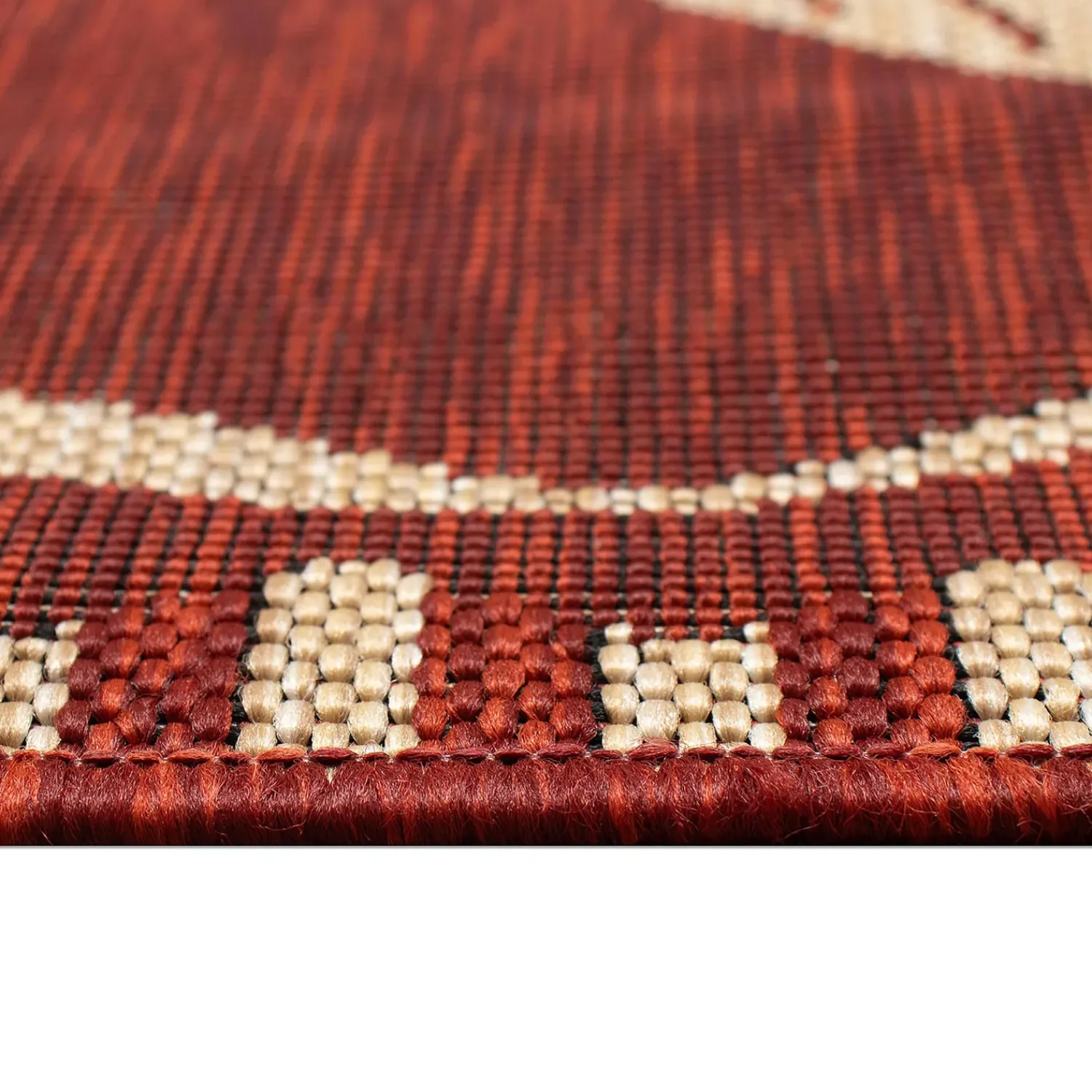 Plow & Hearth Area Rugs>Indoor/Outdoor Dragonfly Rug, 3'3" x 4'11"