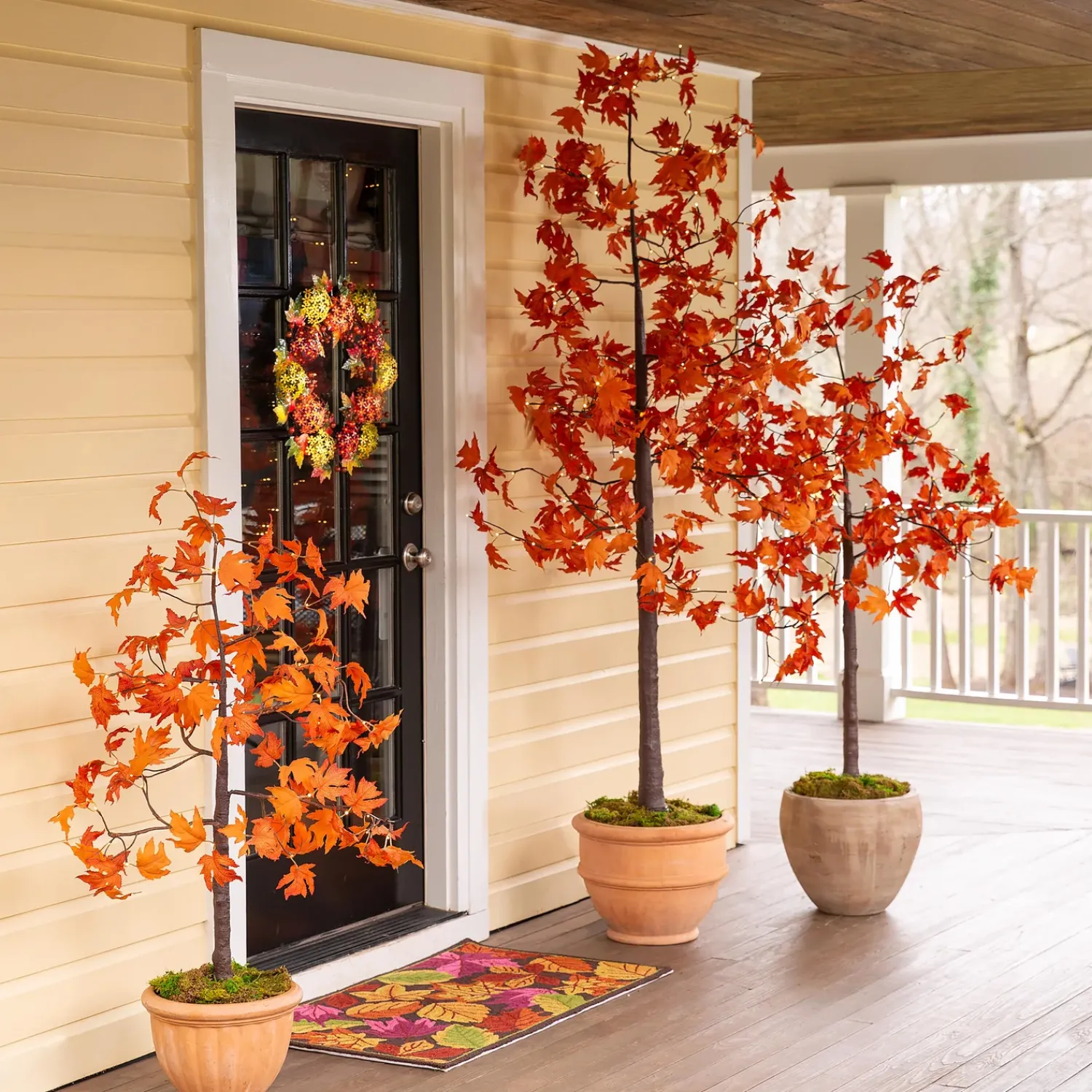 Plow & Hearth Lighted Trees & Garlands>Indoor/Outdoor Electric Lighted Maple Tree, 6'H with 96 Lights