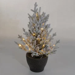 Plow & Hearth Lighted Trees & Garlands>Indoor/Outdoor Flocked Roanoke Spruce Potted Tree with Warm White LEDs