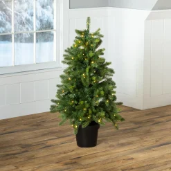 Plow & Hearth Lighted Trees & Garlands>Indoor/Outdoor Keswick Potted Pine Tree with Warm White LEDs