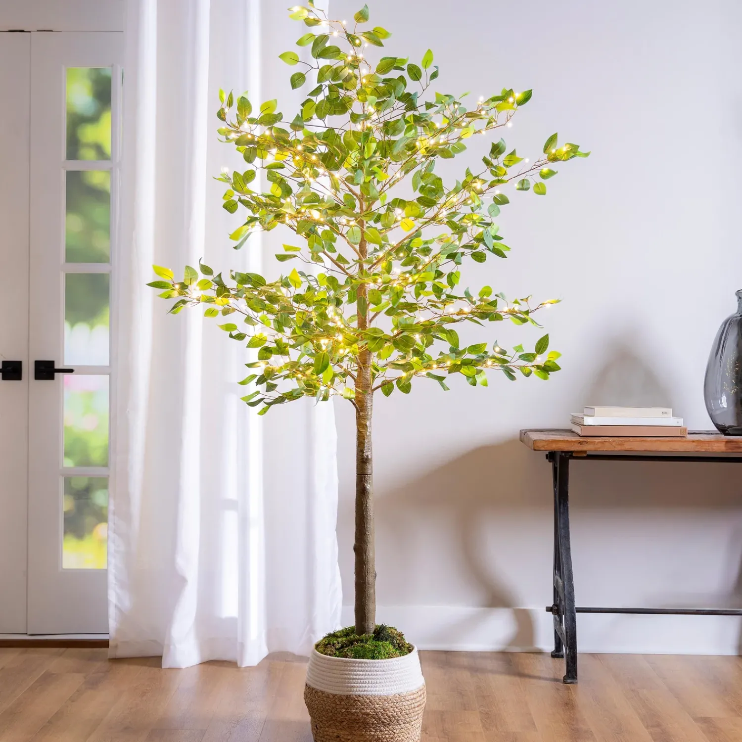 Plow & Hearth Lighted Trees & Garlands>Indoor/Outdoor LED Ficus Tree 6'