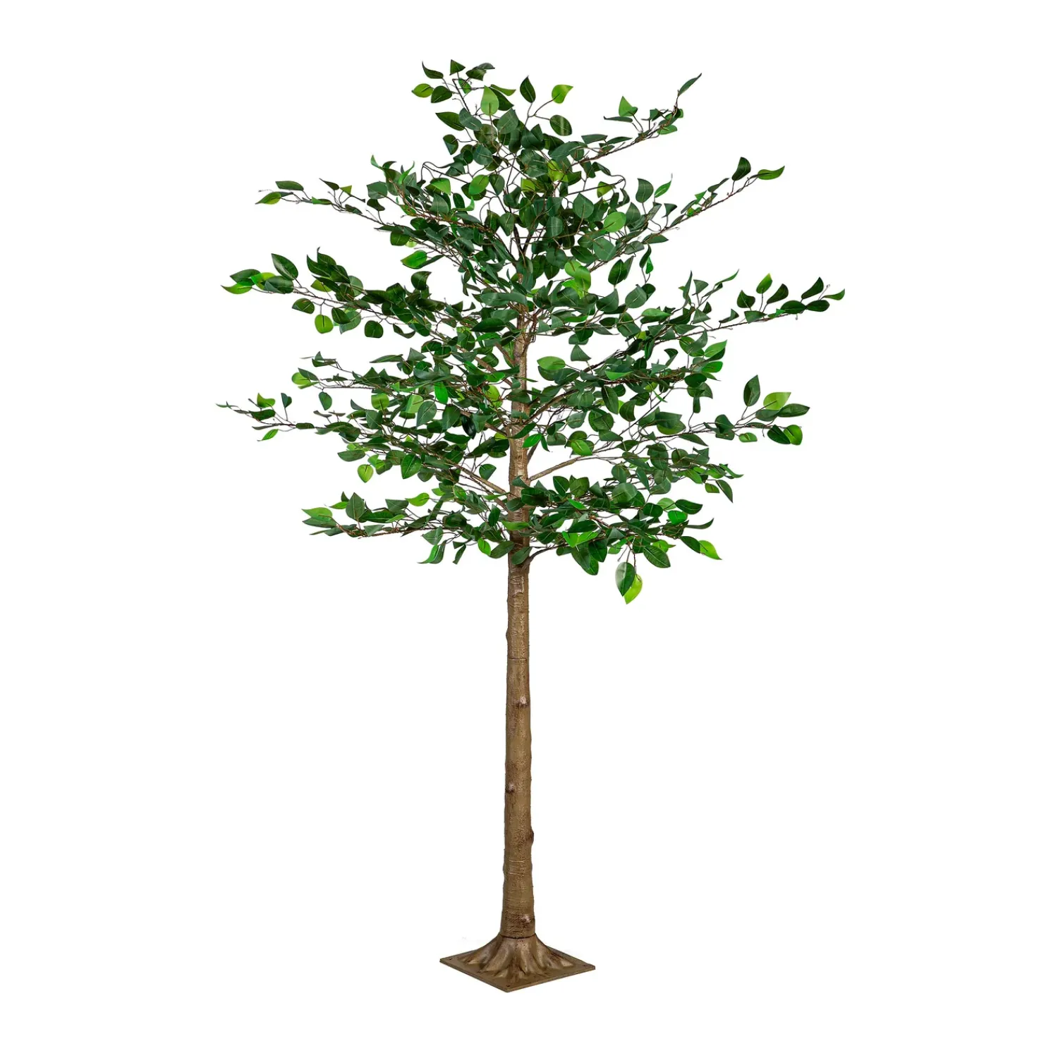 Plow & Hearth Lighted Trees & Garlands>Indoor/Outdoor LED Ficus Tree 6'