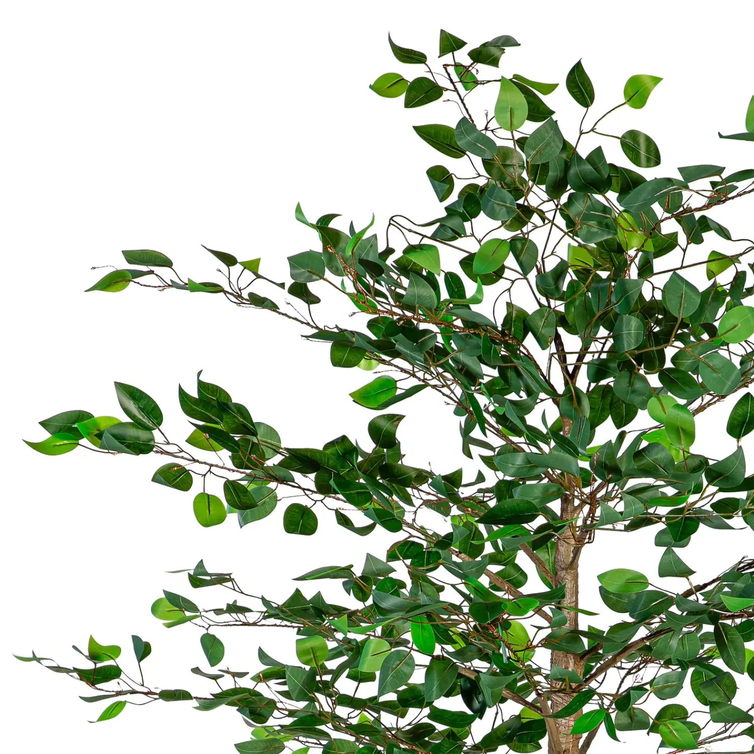 Plow & Hearth Lighted Trees & Garlands>Indoor/Outdoor LED Ficus Tree 6'