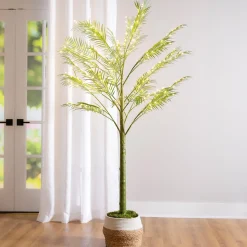 Plow & Hearth Lighted Trees & Garlands>Indoor/Outdoor LED Palm Tree 6'