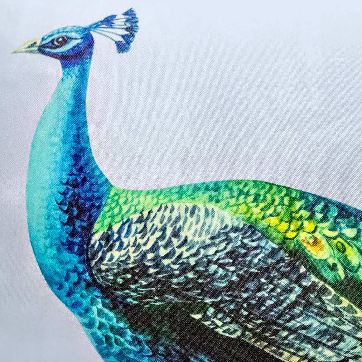 Plow & Hearth Decorative Pillows>Indoor/Outdoor Peacock Lumbar Pillow
