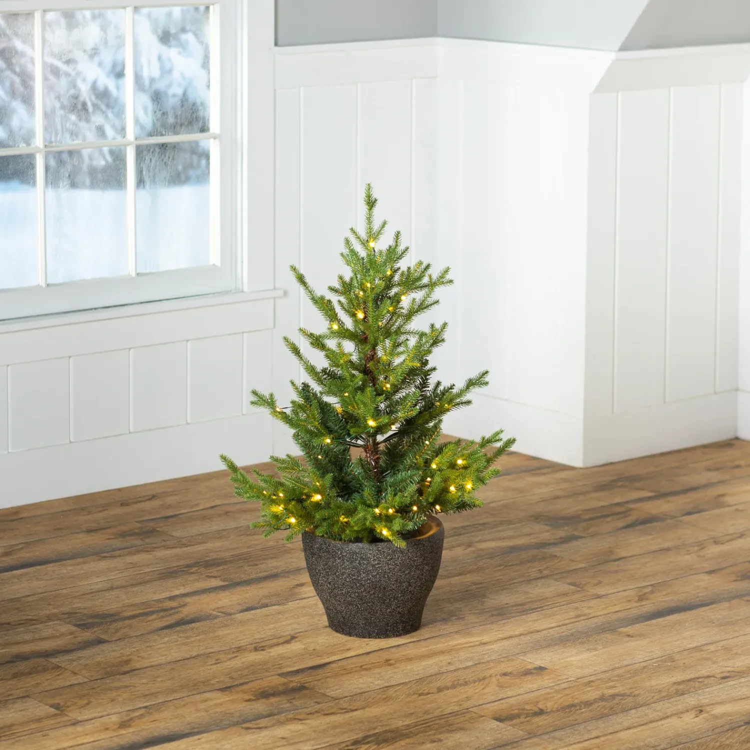 Plow & Hearth Lighted Trees & Garlands>Indoor/Outdoor Roanoke Spruce Potted Tree with Warm White LEDs