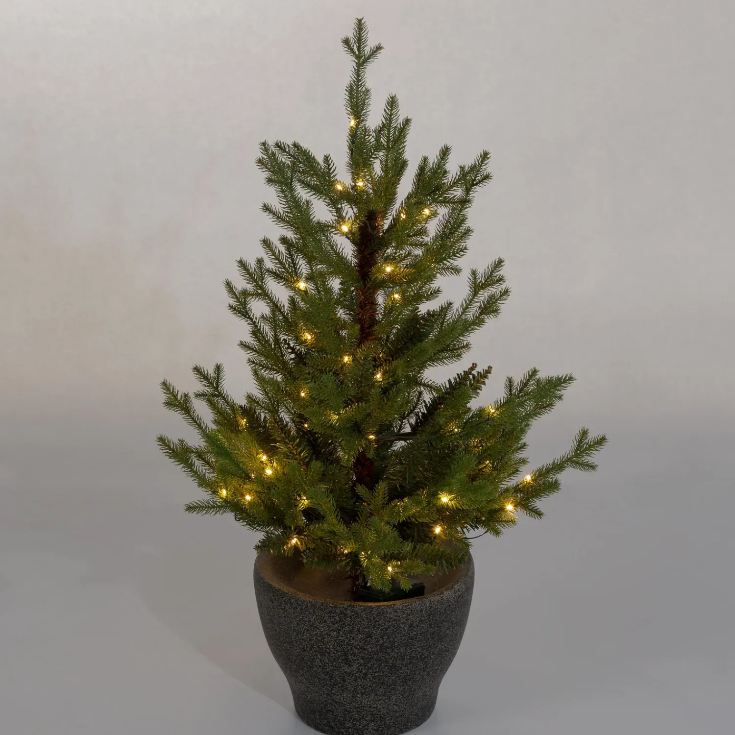 Plow & Hearth Lighted Trees & Garlands>Indoor/Outdoor Roanoke Spruce Potted Tree with Warm White LEDs