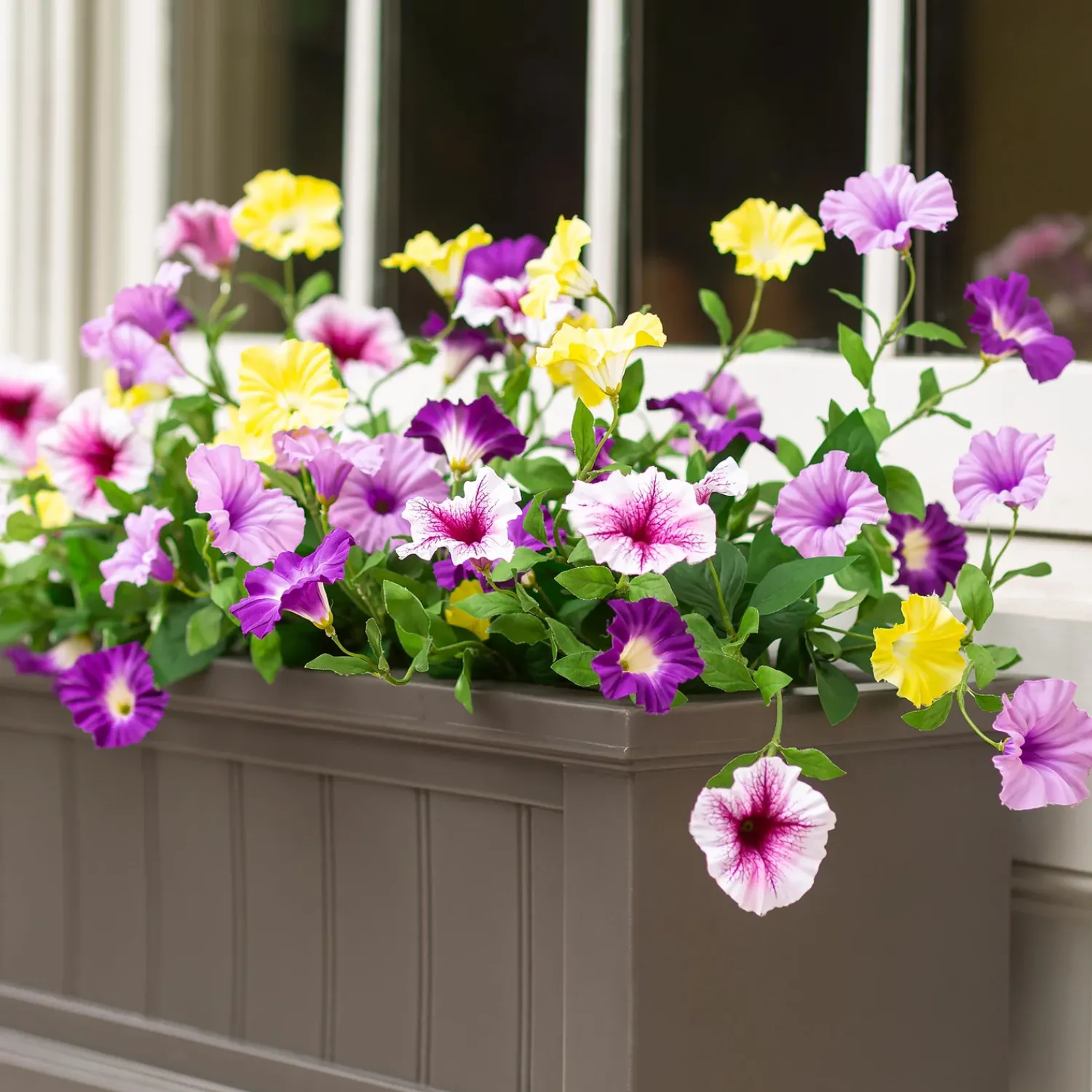 Plow & Hearth Planters & Plant Stands>Lexington Self-Watering Window Box with Hanging Brackets, 4'L Gray