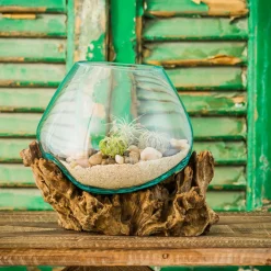Plow & Hearth Decorative Accents|Planters & Vases>Medium Glass Planter on Driftwood