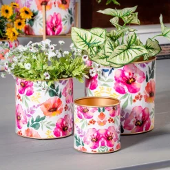 Plow & Hearth Planters & Plant Stands><noscript><img width=