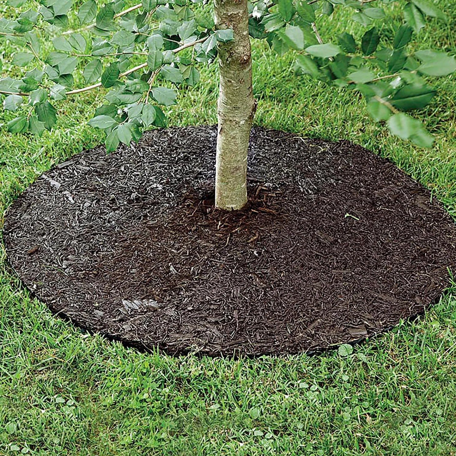 Plow & Hearth Garden Fencing & Edging|Garden Tools & Supplies>Permanent Mulch Recycled Rubber Tree Ring, 24" dia.