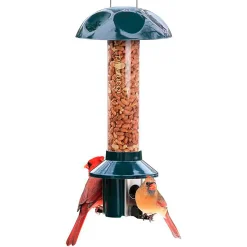 Plow & Hearth Bird Feeders>PestOff Bird Feeder For Peanuts, Dried Meal Worms, Suet And Wild Bird Nuggets