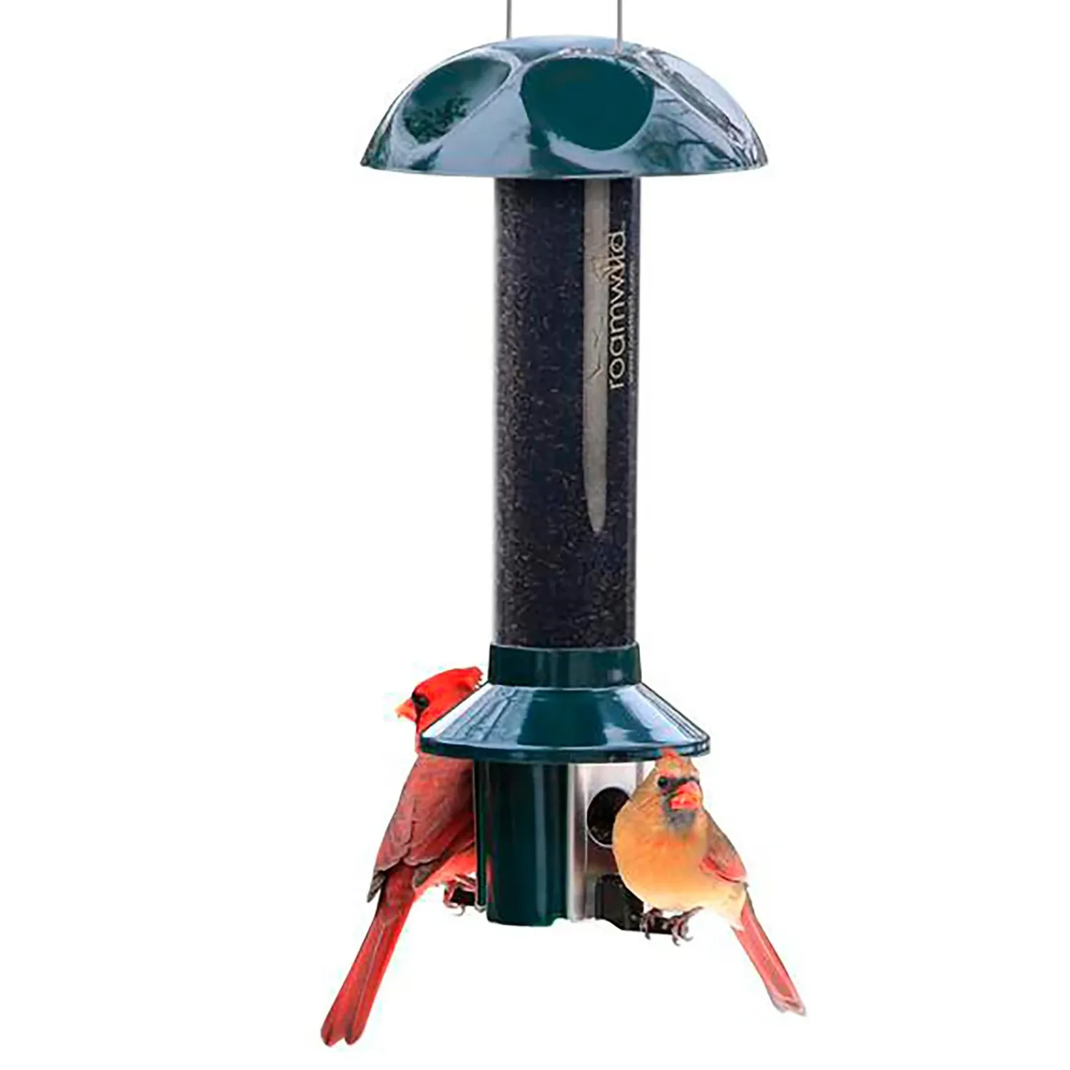 Plow & Hearth Bird Feeders>PestOff Pest Proof Nyjer/Thistle Finch Bird Feeder
