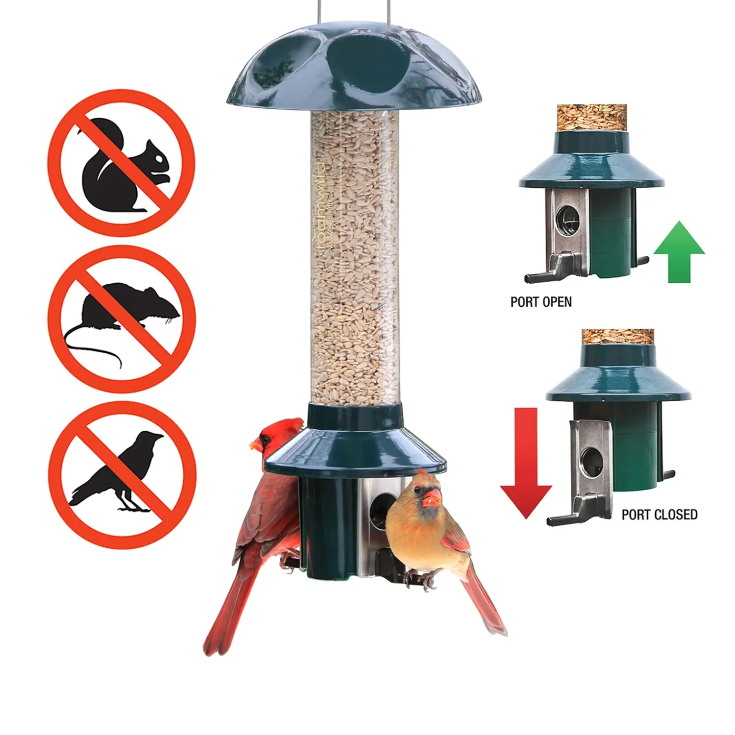 Plow & Hearth Bird Feeders>PestOff Sunflower Mixed Seed Pest Proof Bird Feeder
