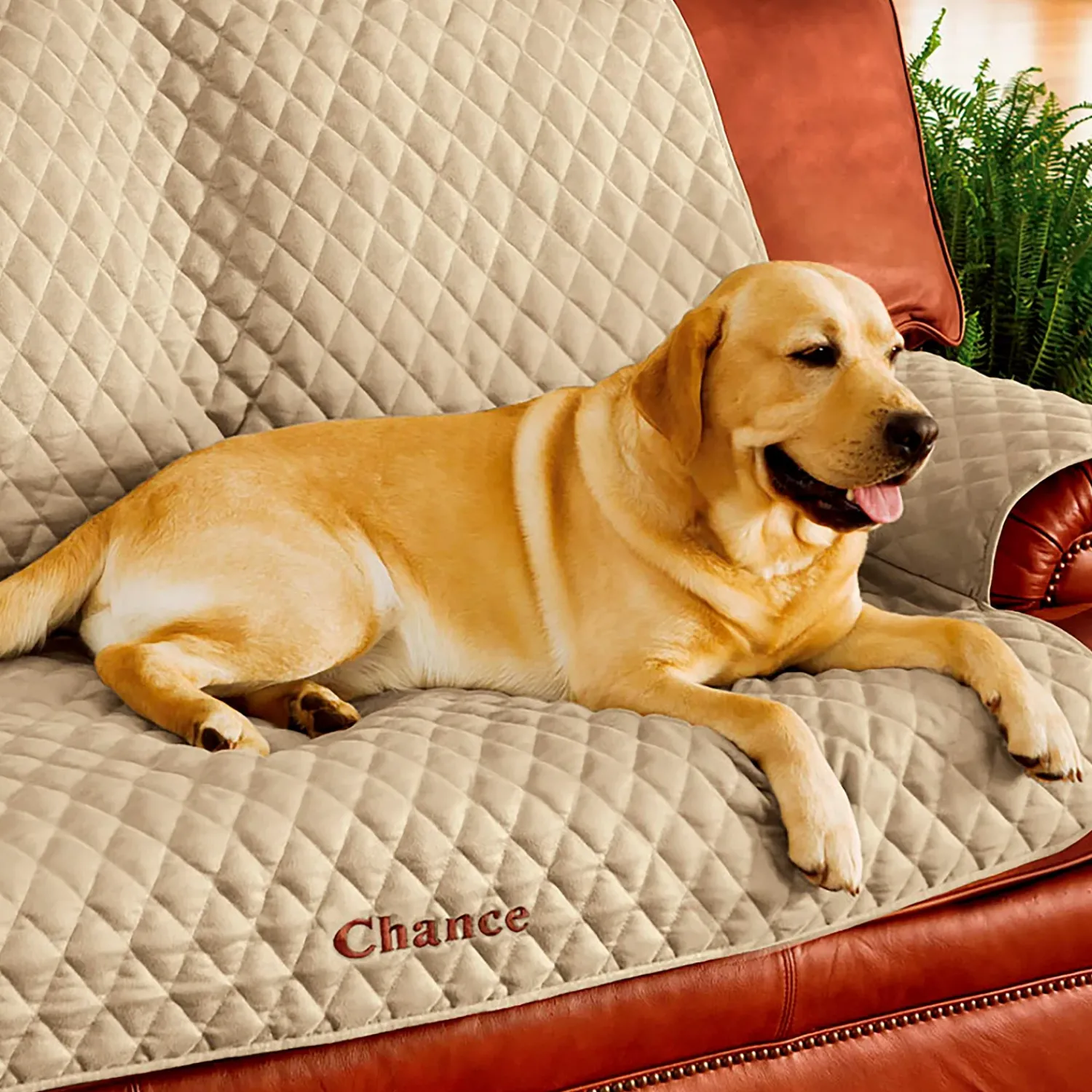 Plow & Hearth Furniture Covers|Pet Products>Pet Loveseat Polyester Protective Cover, Blue