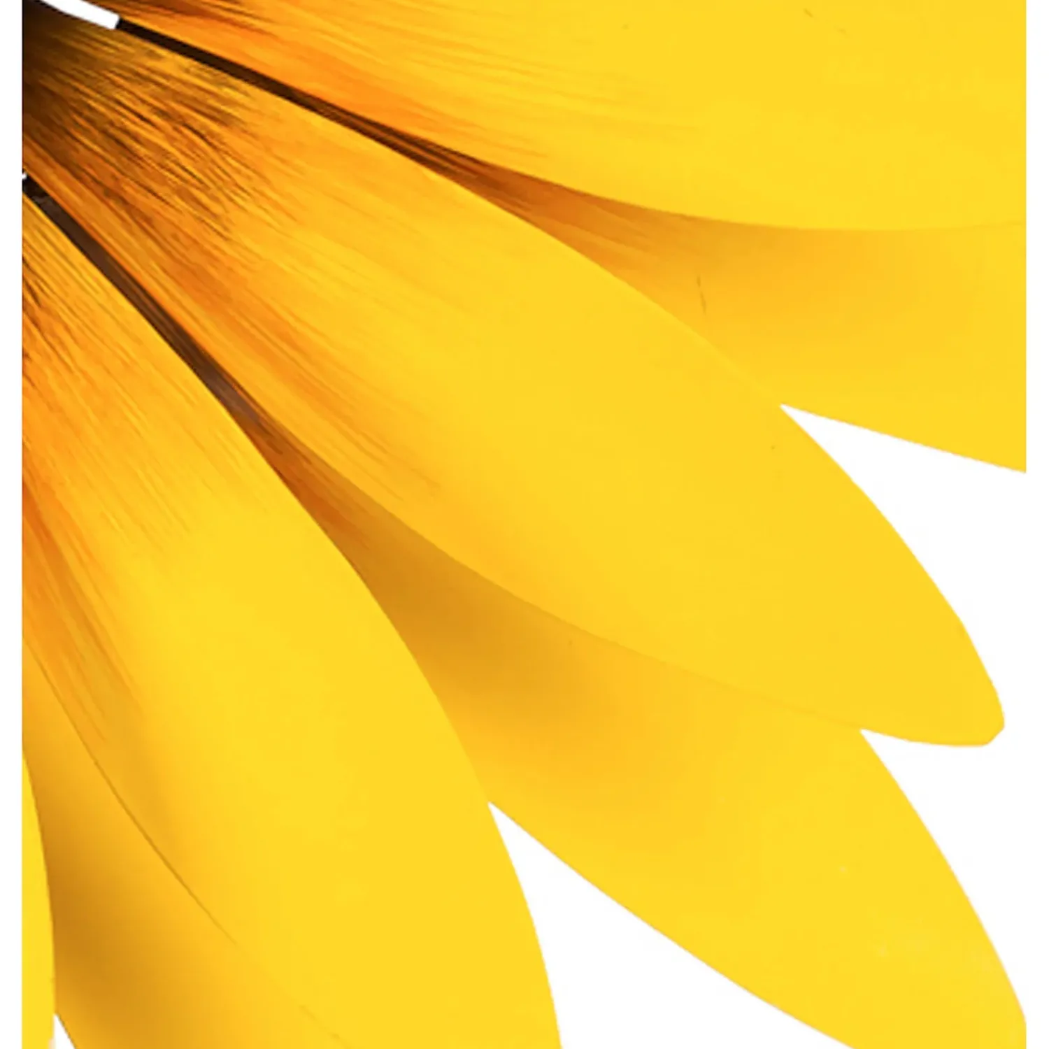 Plow & Hearth Wind Spinners>75"H Sunflower Statement Wind Spinner
