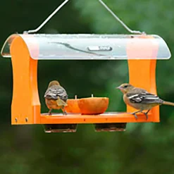 Plow & Hearth Bird Feeders>Recycled Plastic Poly-Lumber Oriole Bird Feeder