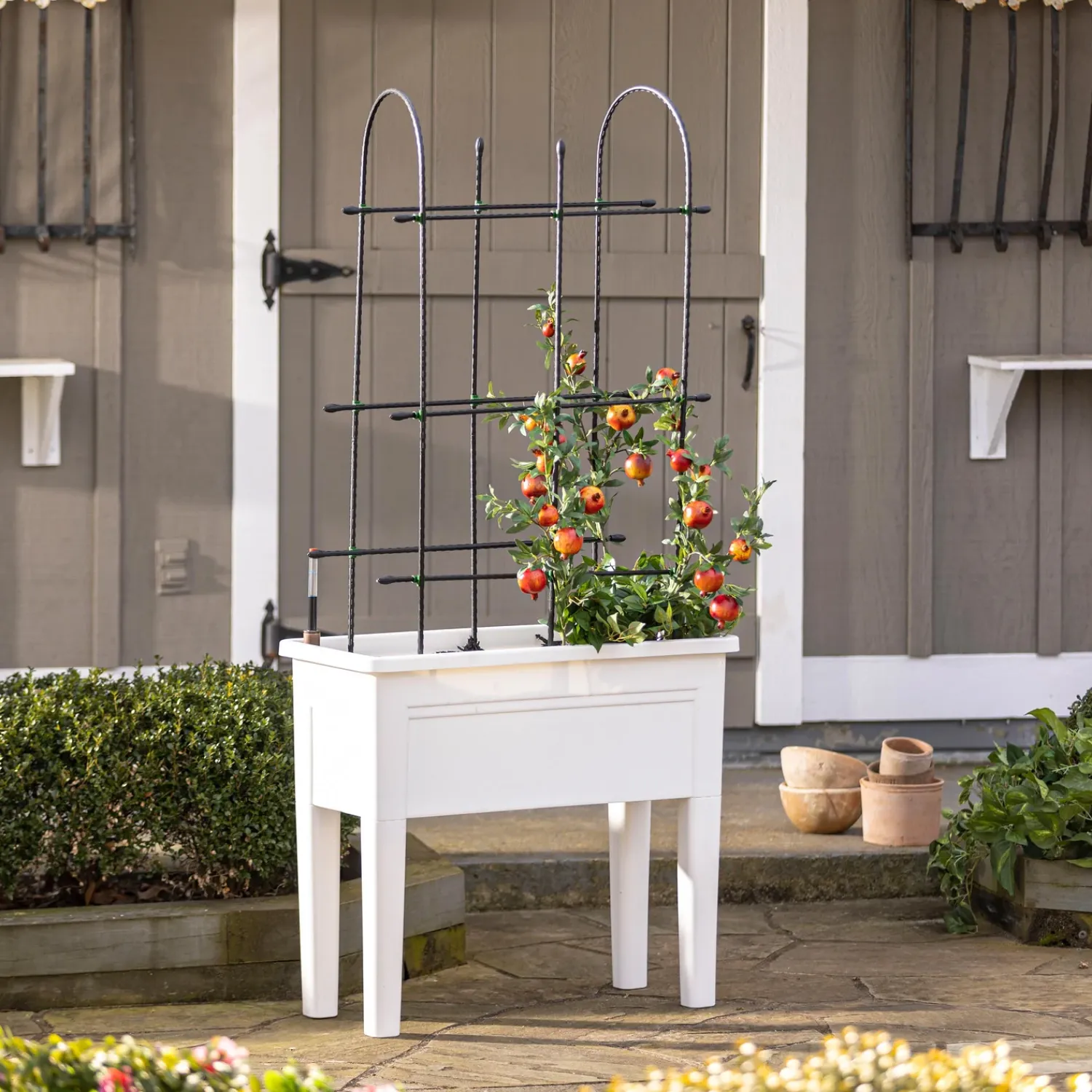 Plow & Hearth Planters & Plant Stands>Self-Watering Planter with Climbing Rack