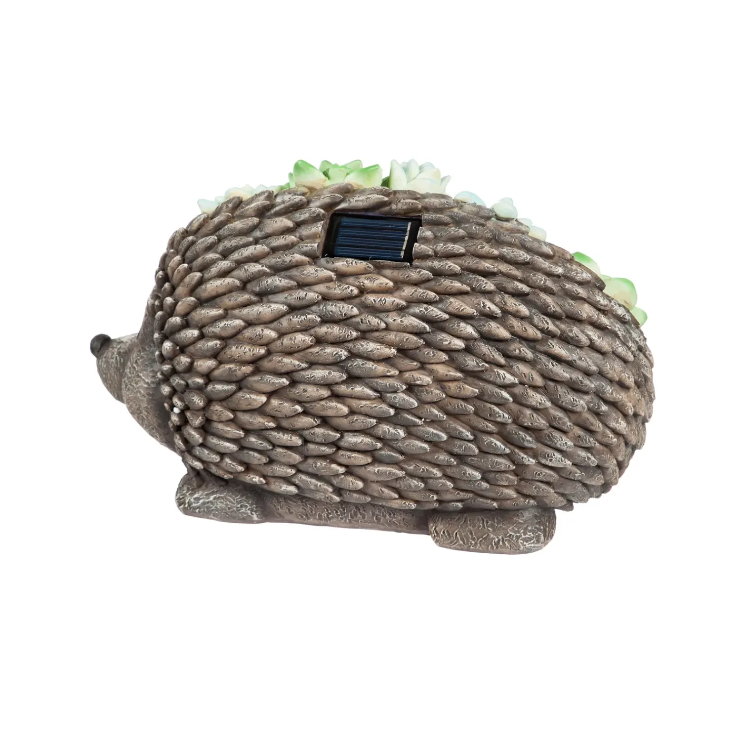Plow & Hearth Garden Statues|Solar Accents>Solar Resin Succulent Hedgehog