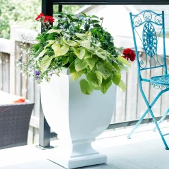 Plow & Hearth Planters & Plant Stands><noscript><img width=